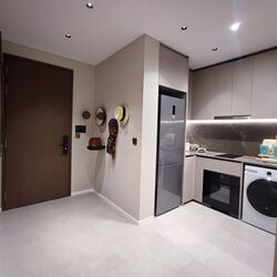 Amber House (D15), Apartment #515703821